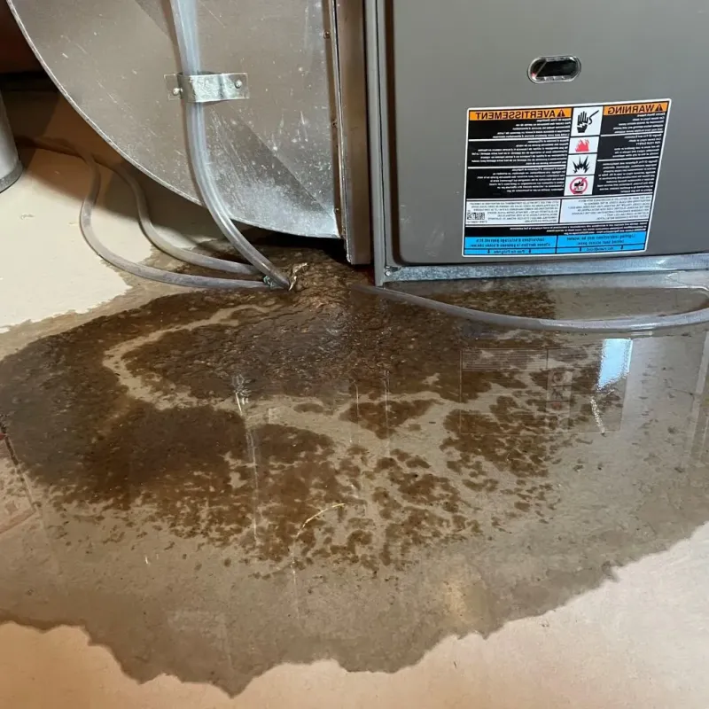 Pipe Burst and Leak Restoration in Hyde Park, NY